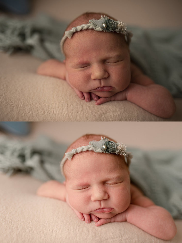 Appleseed Studio Preset Collection