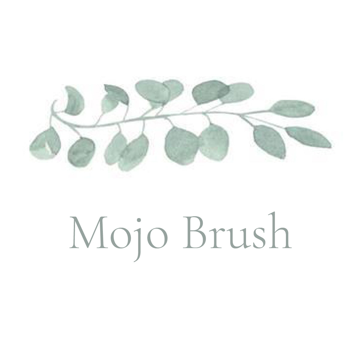 Mojo Brush