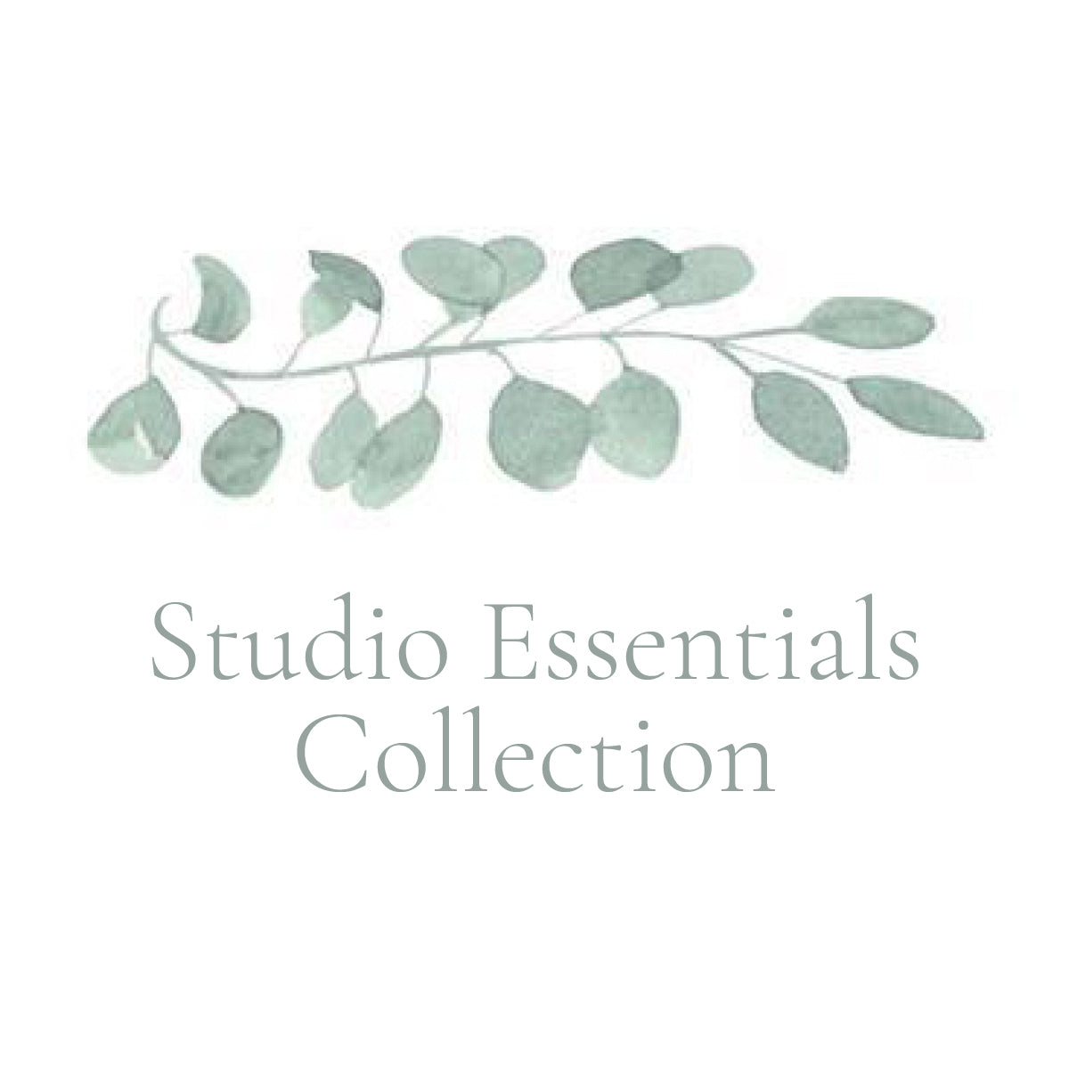 Studio Essentials Collection