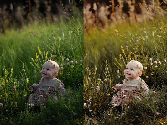 The Orchard Collection  ON SALE! This collection is leaving the shop soon!!
