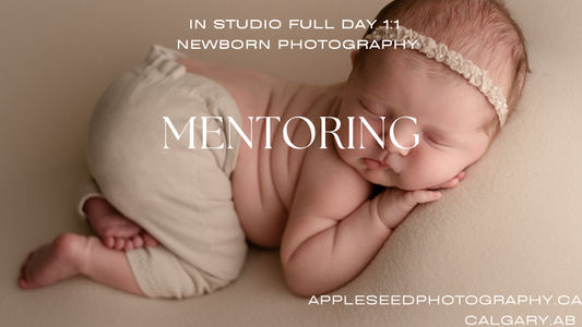 Private Full Day Newborn Photography Mentorship